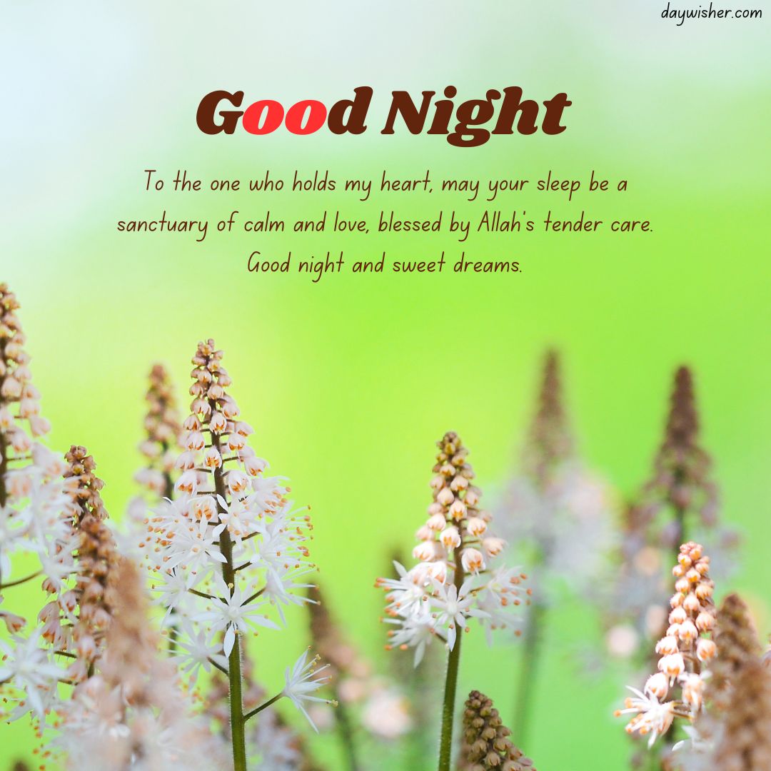 The image features a serene natural background with soft-focused greenery and white flowers in the foreground. Overlay text says "Islamic Good Night,” with a heartfelt message wishing for peace and blessings.