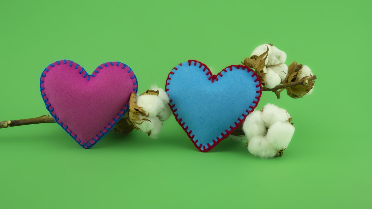 Two handmade hearts with pink and blue colors, each stitched with contrasting threads, attached to a cotton branch against a bright green background, perfect for expressing happy anniversary wishes to your husband.