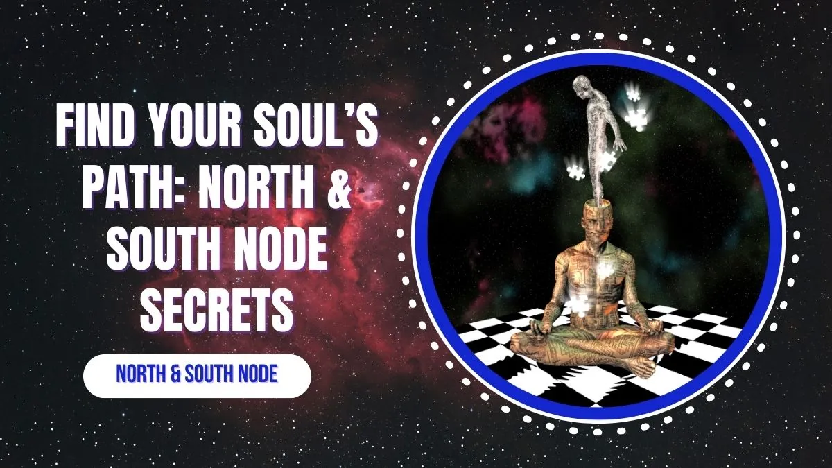 North Node & South Node in Astrology